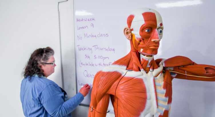 WM304 Anatomy and Physiology IV