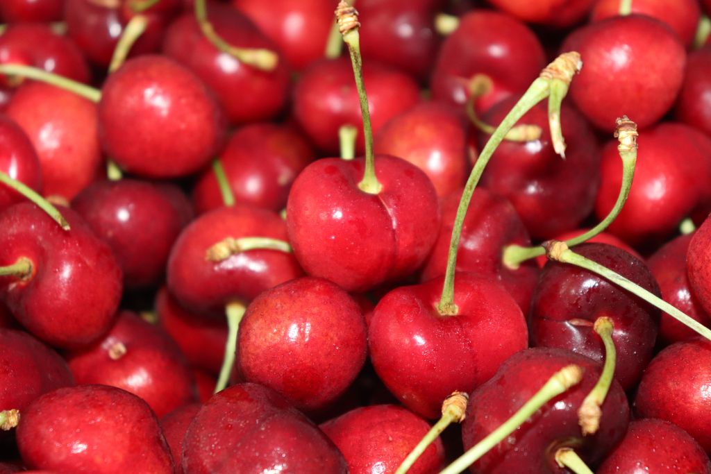 chinese hawthorn berry