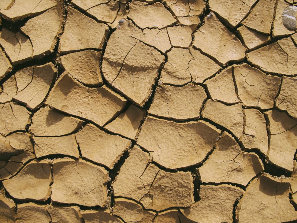 dry