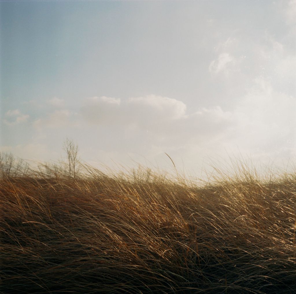 windy
