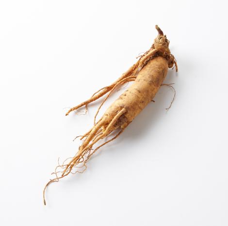 ginseng