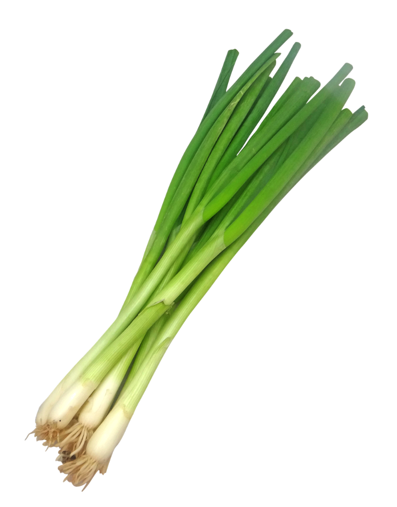 scallion